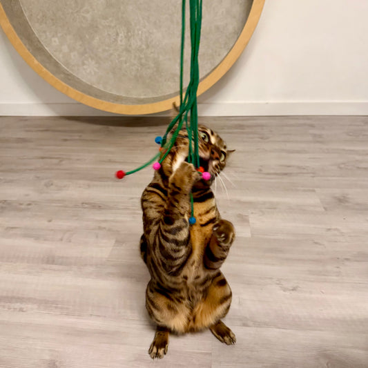 Connect: Lichterfäden