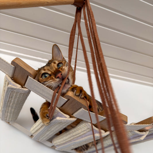 Miezwerk Connect - Die modulare Katzenangel