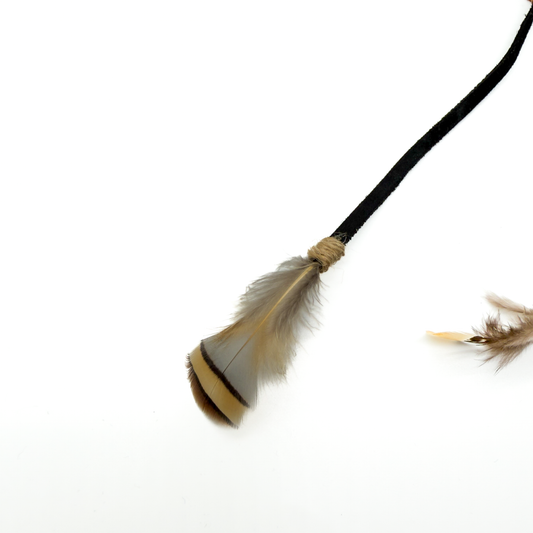 Connect: Feder-Leder