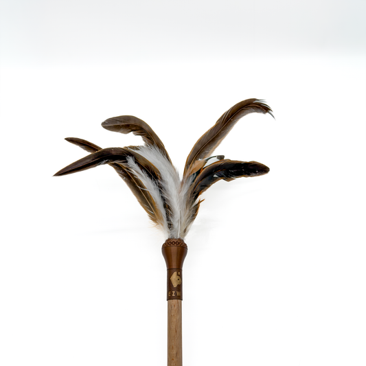 Connect: Hahnen-Pracht