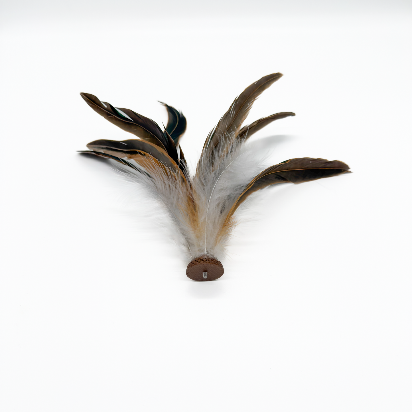 Connect: Hahnen-Pracht