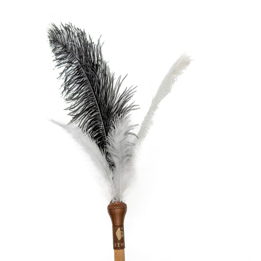 Connect: Straußen-Eleganz