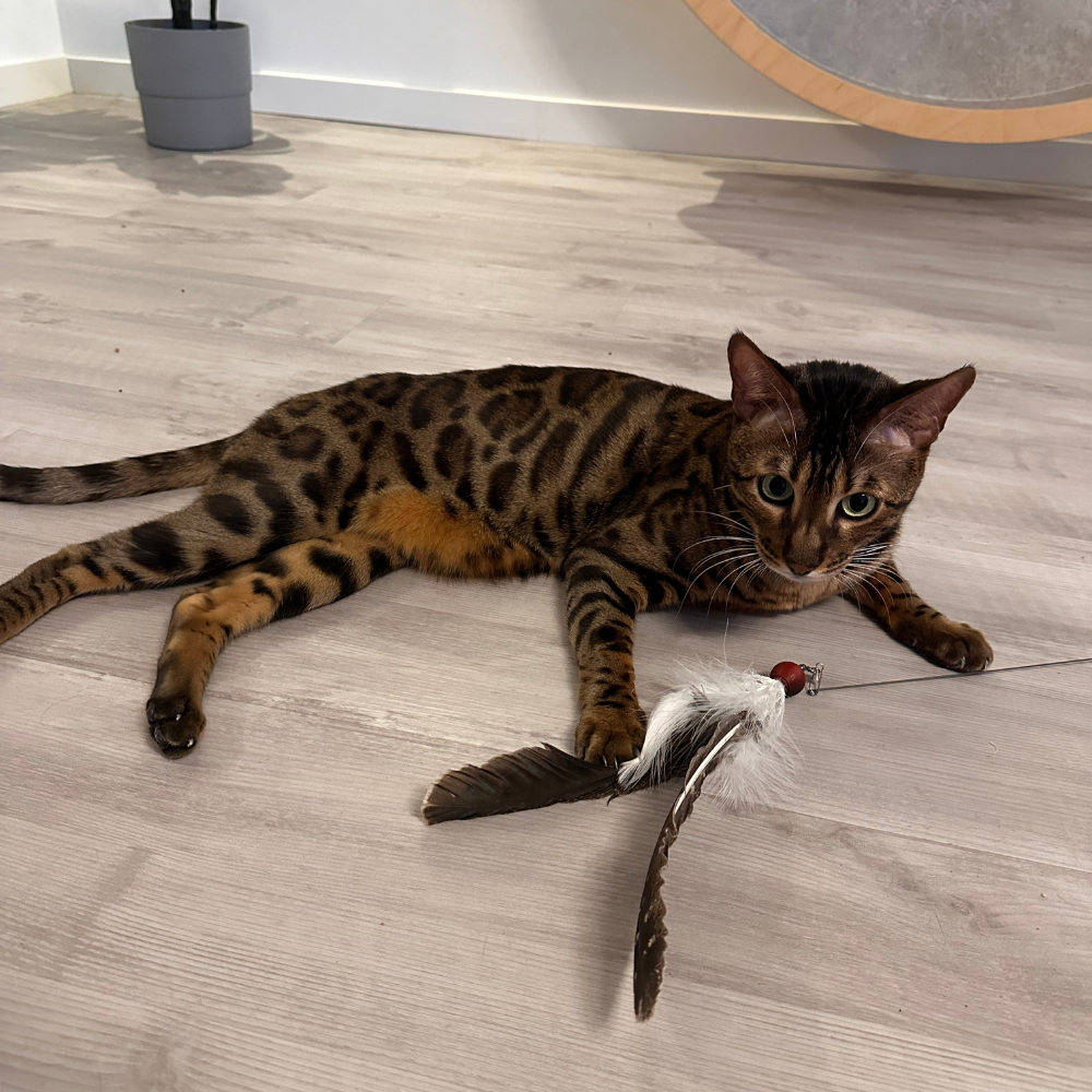 Feather swirl – cat fishing rod pendant with natural feathers