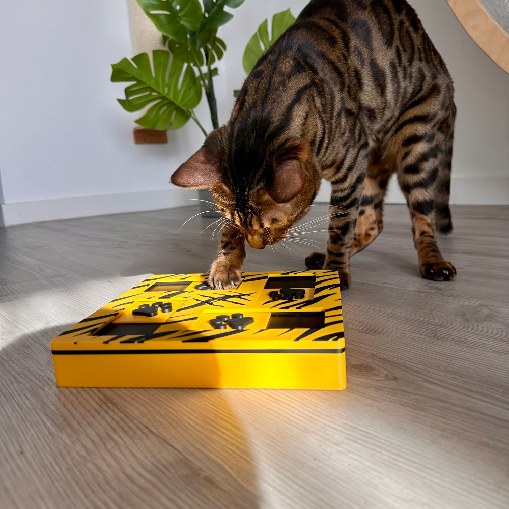 Intelligenzspielzeug für Katzen - Tiger Slider