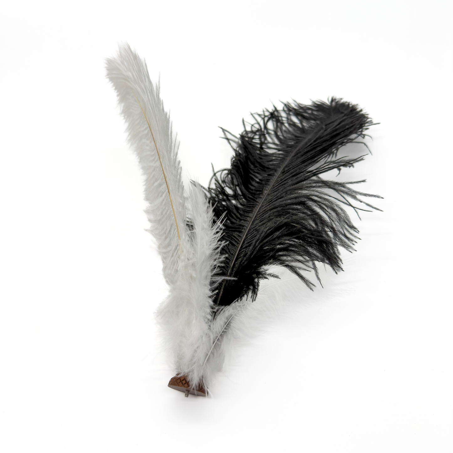 Connect: Straußen-Eleganz