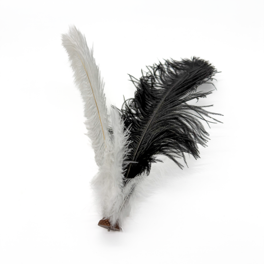 Connect: Straußen-Eleganz