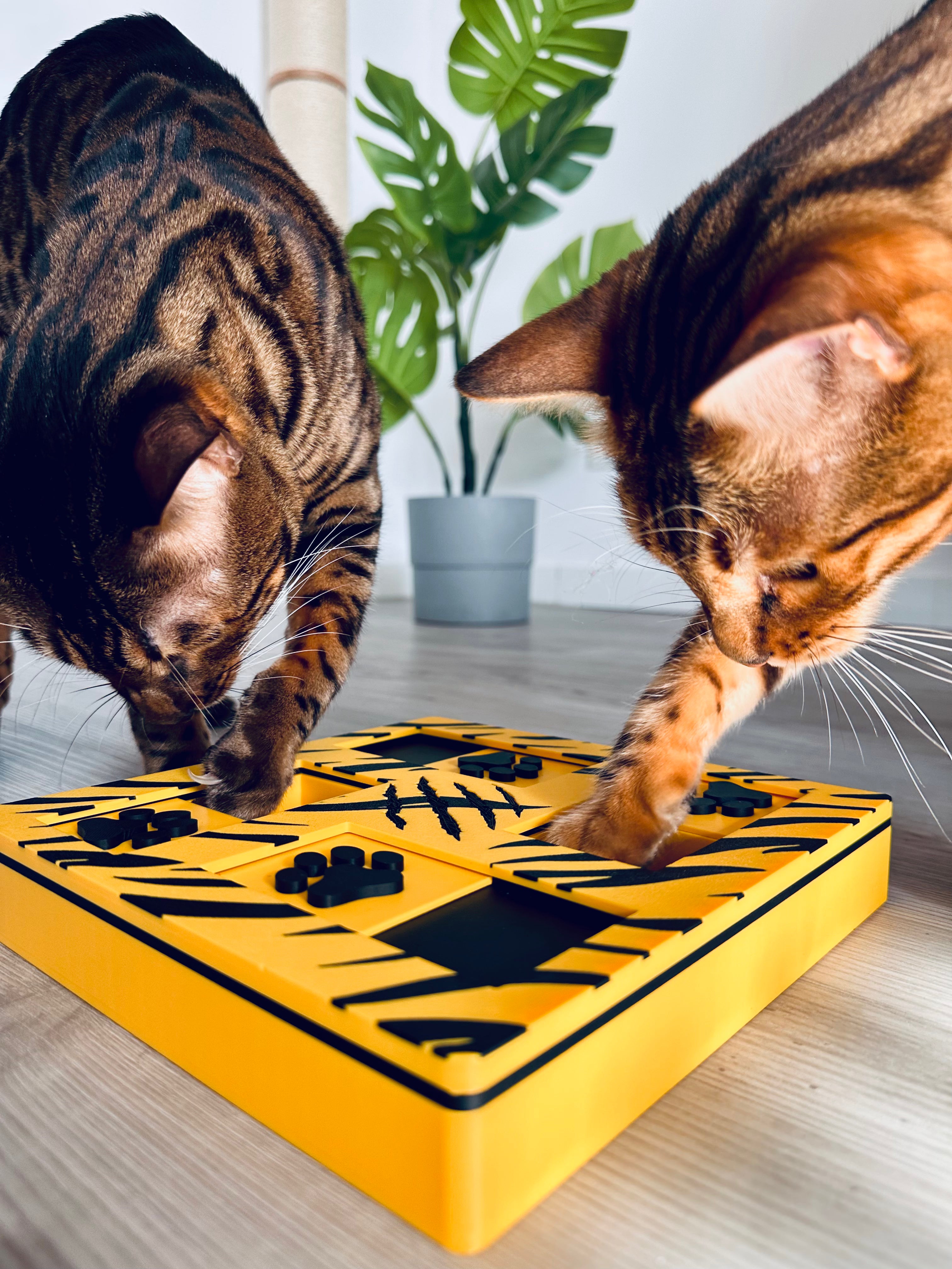 IMG_9153.HEIC__PID:b4a09181-aae1-450f-afee-0ce273e9eee5