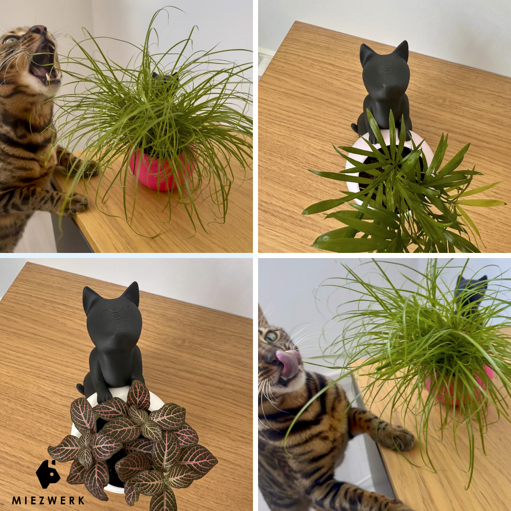 Katzen Deko Pflanztopf - Cat & Plant Edition V1 für Katzengras & Zimmerpflanzen