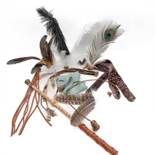 Miezwerk Connect - Die modulare Katzenangel