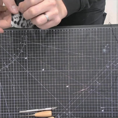 Miezwerk Connect - Die Modulare Katzenangel "Leo Edition"